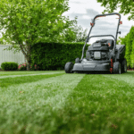 d&eacute;couvrez les meilleures techniques pour aff&ucirc;ter la lame de votre tondeuse et optimiser la coupe de votre gazon, pour un jardin toujours impeccable et en pleine sant&eacute;.