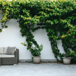 d&eacute;couvrez les meilleures plantes grimpantes pour cr&eacute;er de l'ombre naturelle et embellir votre terrasse ou balcon avec &eacute;l&eacute;gance et verdure.