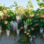 d&eacute;couvrez les meilleures plantes grimpantes id&eacute;ales pour les expositions ensoleill&eacute;es, parfaites pour embellir vos murs et jardins avec &eacute;clat.