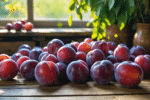 Découvrez une explosion gourmande de prunes en cette saison